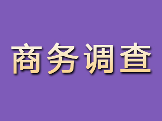 台州商务调查